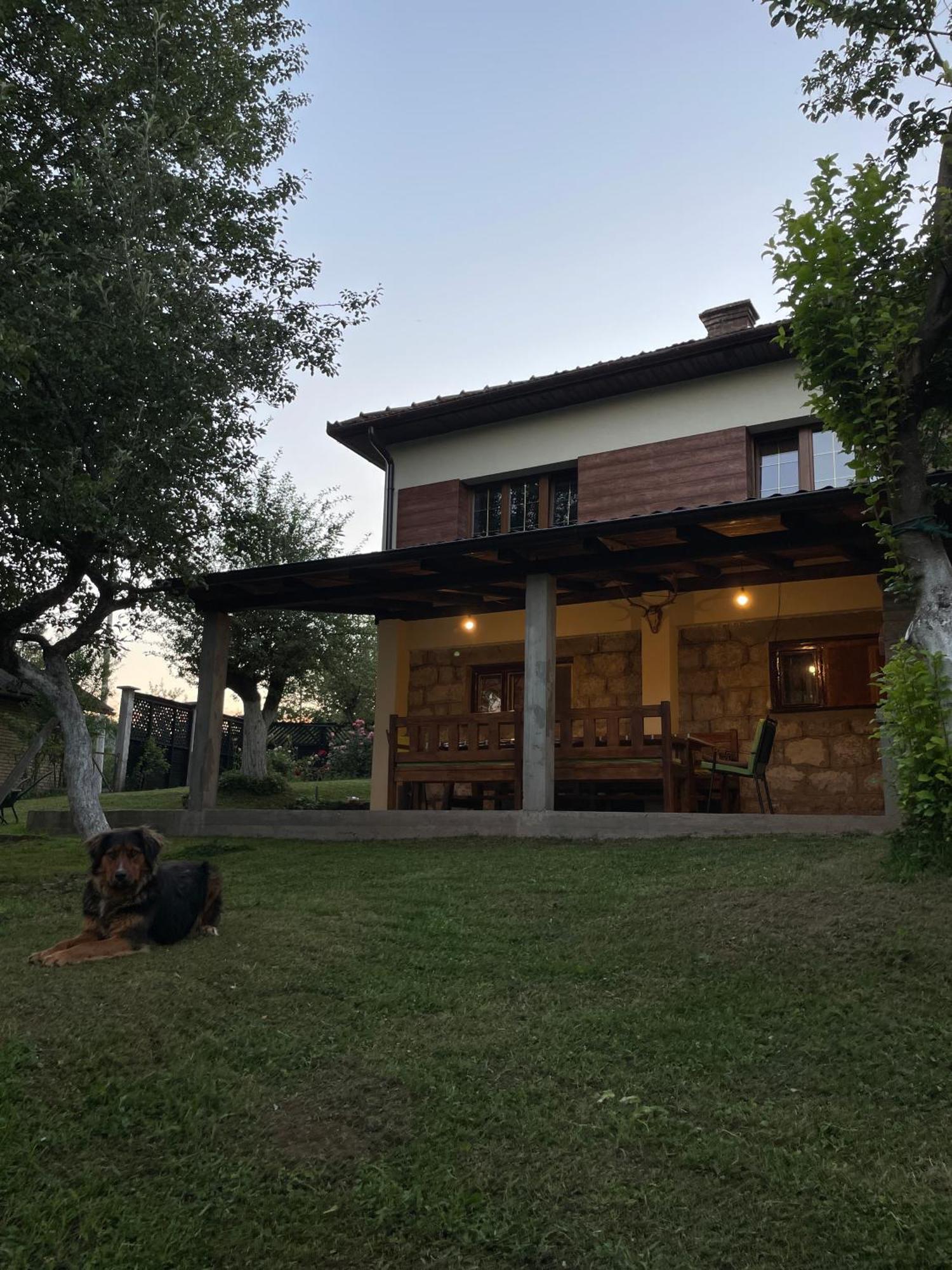 Villa Vikendica Pasa Pale Exterior foto